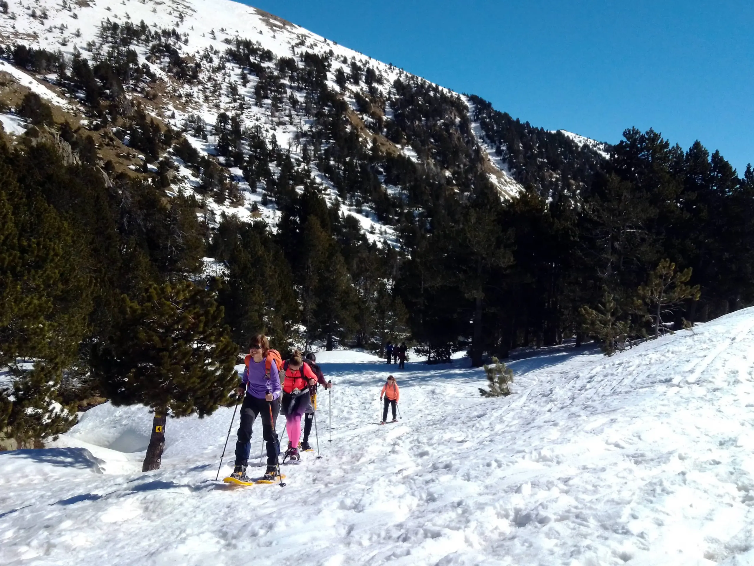 Raquetes Raquetes